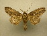  ( - 10-CRBS-013)  @13 [ ] Unspecified (default): All Rights Reserved  Unspecified Unspecified