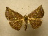 ( - 10-CRBS-030)  @14 [ ] Unspecified (default): All Rights Reserved  Unspecified Unspecified