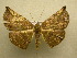  ( - 10-CRBS-031)  @14 [ ] Unspecified (default): All Rights Reserved  Unspecified Unspecified
