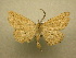  ( - 10-CRBS-032)  @13 [ ] Unspecified (default): All Rights Reserved  Unspecified Unspecified