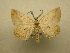  ( - 10-CRBS-033)  @13 [ ] Unspecified (default): All Rights Reserved  Unspecified Unspecified