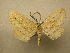  ( - 10-CRBS-035)  @13 [ ] Unspecified (default): All Rights Reserved  Unspecified Unspecified