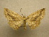  ( - 10-CRBS-036)  @13 [ ] Unspecified (default): All Rights Reserved  Unspecified Unspecified