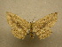  ( - 10-CRBS-037)  @13 [ ] Unspecified (default): All Rights Reserved  Unspecified Unspecified