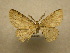  ( - 10-CRBS-038)  @13 [ ] Unspecified (default): All Rights Reserved  Unspecified Unspecified
