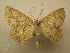  ( - 10-CRBS-044)  @14 [ ] Unspecified (default): All Rights Reserved  Unspecified Unspecified