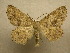  ( - 10-CRBS-046)  @14 [ ] Unspecified (default): All Rights Reserved  Unspecified Unspecified