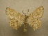  ( - 10-CRBS-047)  @14 [ ] Unspecified (default): All Rights Reserved  Unspecified Unspecified