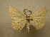  ( - 10-CRBS-049)  @13 [ ] Unspecified (default): All Rights Reserved  Unspecified Unspecified
