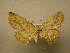  ( - 10-CRBS-050)  @13 [ ] Unspecified (default): All Rights Reserved  Unspecified Unspecified