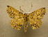  ( - 10-CRBS-067)  @12 [ ] Unspecified (default): All Rights Reserved  Unspecified Unspecified