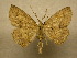  ( - 10-CRBS-068)  @13 [ ] Unspecified (default): All Rights Reserved  Unspecified Unspecified