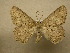  ( - 10-CRBS-069)  @14 [ ] Unspecified (default): All Rights Reserved  Unspecified Unspecified