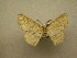  (Cyclophora Sullivan074 - 10-CRBS-074)  @11 [ ] Unspecified (default): All Rights Reserved  Unspecified Unspecified
