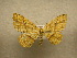  (Cyclophora Sullivan5804 - 10-CRBS-123)  @14 [ ] Unspecified (default): All Rights Reserved  Unspecified Unspecified