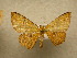  ( - 10-CRBS-125)  @14 [ ] Unspecified (default): All Rights Reserved  Unspecified Unspecified
