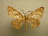  (Cyclophora Sullivan9198 - 10-CRBS-126)  @13 [ ] Unspecified (default): All Rights Reserved  Unspecified Unspecified