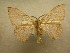  ( - 10-CRBS-132)  @13 [ ] Unspecified (default): All Rights Reserved  Unspecified Unspecified