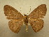  ( - 10-CRBS-134)  @14 [ ] Unspecified (default): All Rights Reserved  Unspecified Unspecified