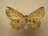  ( - 10-CRBS-135)  @13 [ ] Unspecified (default): All Rights Reserved  Unspecified Unspecified