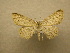  ( - 10-CRBS-140)  @13 [ ] Unspecified (default): All Rights Reserved  Unspecified Unspecified