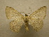  ( - 10-CRBS-144)  @14 [ ] Unspecified (default): All Rights Reserved  Unspecified Unspecified
