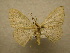  ( - 10-CRBS-145)  @12 [ ] Unspecified (default): All Rights Reserved  Unspecified Unspecified