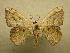  ( - 10-CRBS-149)  @13 [ ] Unspecified (default): All Rights Reserved  Unspecified Unspecified