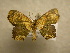  ( - 10-CRBS-151)  @13 [ ] Unspecified (default): All Rights Reserved  Unspecified Unspecified