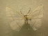  ( - 10-CRBS-168)  @12 [ ] Unspecified (default): All Rights Reserved  Unspecified Unspecified