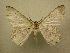  ( - 10-CRBS-177)  @14 [ ] Unspecified (default): All Rights Reserved  Unspecified Unspecified