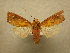  ( - 10-CRBS-181)  @14 [ ] Unspecified (default): All Rights Reserved  Unspecified Unspecified