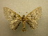  (Hammaptera sp. CR2 - 10-CRBS-191)  @12 [ ] Unspecified (default): All Rights Reserved  Unspecified Unspecified