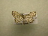  ( - 10-CRBS-273)  @12 [ ] Unspecified (default): All Rights Reserved  Unspecified Unspecified