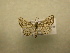  ( - 10-CRBS-274)  @13 [ ] Unspecified (default): All Rights Reserved  Unspecified Unspecified