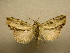 ( - 10-CRBS-277)  @14 [ ] Unspecified (default): All Rights Reserved  Unspecified Unspecified