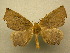  ( - 10-CRBS-283)  @14 [ ] Unspecified (default): All Rights Reserved  Unspecified Unspecified
