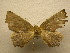  ( - 10-CRBS-285)  @13 [ ] Unspecified (default): All Rights Reserved  Unspecified Unspecified