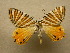  (Pityeja Malaise5879 - 10-CRBS-301)  @14 [ ] Unspecified (default): All Rights Reserved  Unspecified Unspecified