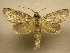  ( - 10-CRBS-308)  @14 [ ] Unspecified (default): All Rights Reserved  Unspecified Unspecified