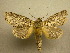  ( - 10-CRBS-312)  @14 [ ] Unspecified (default): All Rights Reserved  Unspecified Unspecified