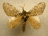  ( - 10-CRBS-327)  @14 [ ] Unspecified (default): All Rights Reserved  Unspecified Unspecified