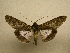  ( - 10-CRBS-353)  @12 [ ] Unspecified (default): All Rights Reserved  Unspecified Unspecified