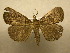  ( - 10-CRBS-376)  @14 [ ] Unspecified (default): All Rights Reserved  Unspecified Unspecified