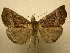  ( - 10-CRBS-377)  @14 [ ] Unspecified (default): All Rights Reserved  Unspecified Unspecified