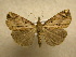 ( - 10-CRBS-378)  @13 [ ] Unspecified (default): All Rights Reserved  Unspecified Unspecified