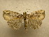  ( - 10-CRBS-379)  @14 [ ] Unspecified (default): All Rights Reserved  Unspecified Unspecified