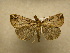  ( - 10-CRBS-380)  @13 [ ] Unspecified (default): All Rights Reserved  Unspecified Unspecified