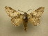  ( - 10-CRBS-393)  @14 [ ] Unspecified (default): All Rights Reserved  Unspecified Unspecified