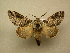  ( - 10-CRBS-394)  @14 [ ] Unspecified (default): All Rights Reserved  Unspecified Unspecified